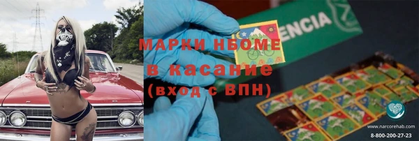 гашик Верея
