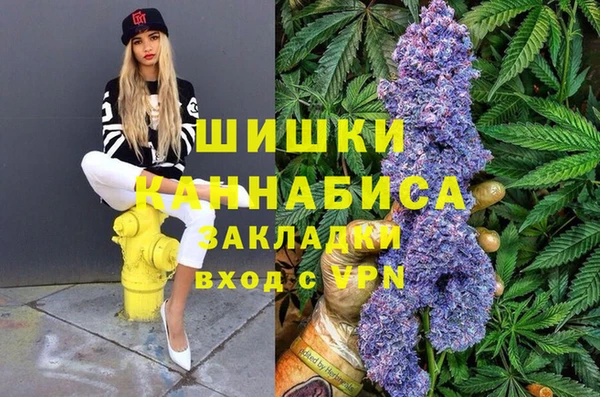 гашик Верея