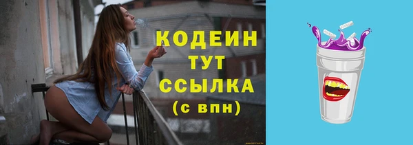 гашик Верея