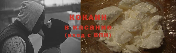 гашик Верея