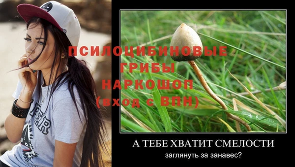 2c-b Верхнеуральск