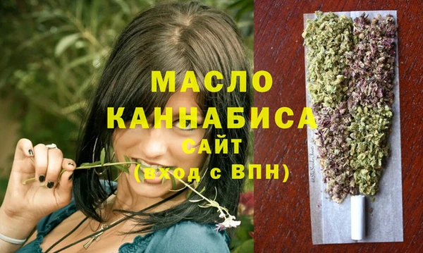 гашик Верея