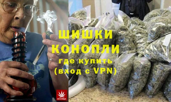 гашик Верея