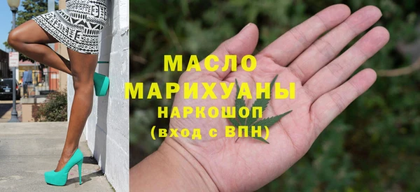 гашик Верея