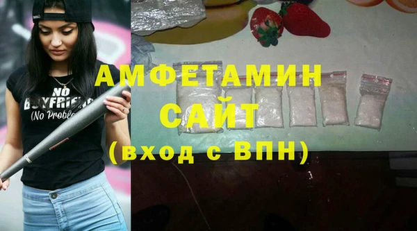 гашик Верея